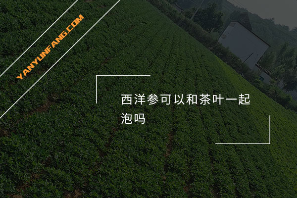 西洋参可以和茶叶一起泡吗？