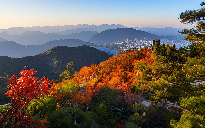 香山公园