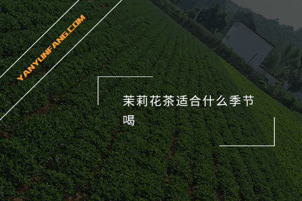 茉莉花茶适合什么季节喝？