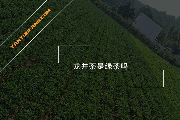 龙井茶是绿茶吗？