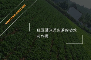 红豆薏米芡实茶的功效与作用