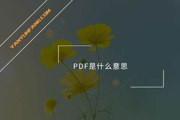 PDF是什么意思？