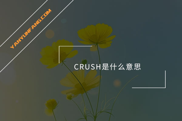 CRUSH是什么意思？