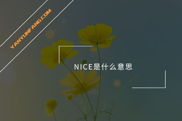 NICE是什么意思？