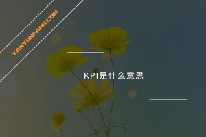 KPI是什么意思？