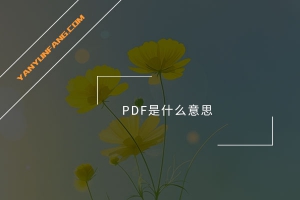 PDF是什么意思？