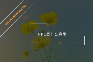 NPC是什么意思？