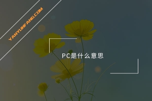 PC是什么意思？