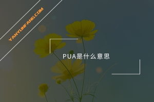 PUA是什么意思？