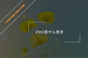 EMO是什么意思？