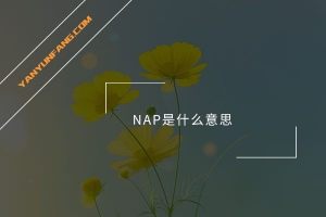 NAP是什么意思？