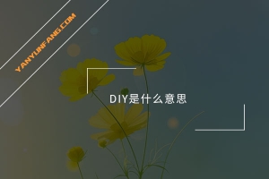 DIY是什么意思？