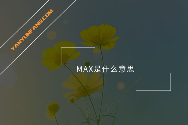 MAX是什么意思？