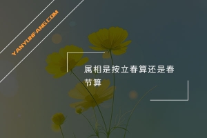 属相是按立春算还是春节算？