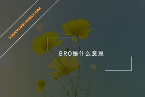 BRO是什么意思？