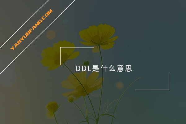 DDL是什么意思？